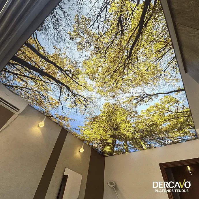 Aménagement intérieur sur mesure pour maisons – Dercavo Toiles tendues et décoration murale pour maisons – Dercavo