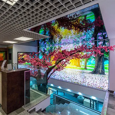 Habillage mural pour instituts de beauté et soins – Dercavo